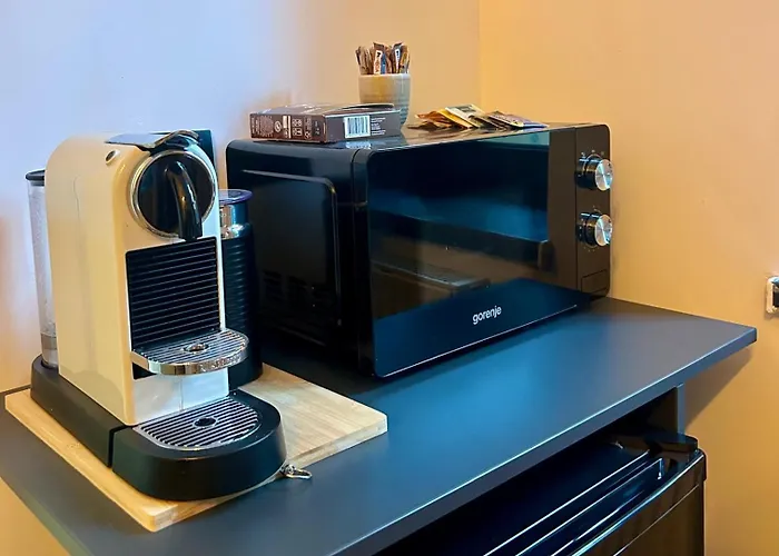 아파트 Sleepy Alex 클루지나포카